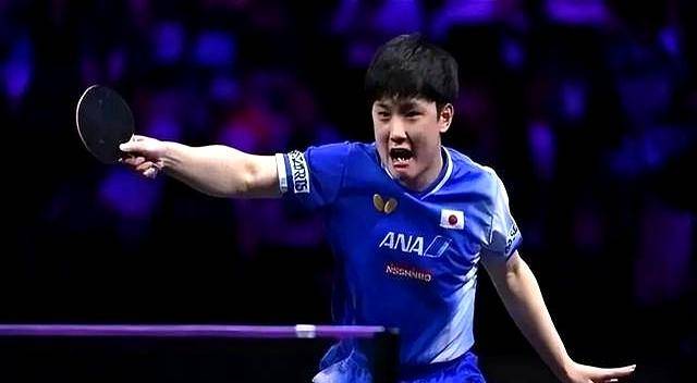 中国乒乓球队完胜波兰乒乓球队，张本智和送出助攻的简单介绍