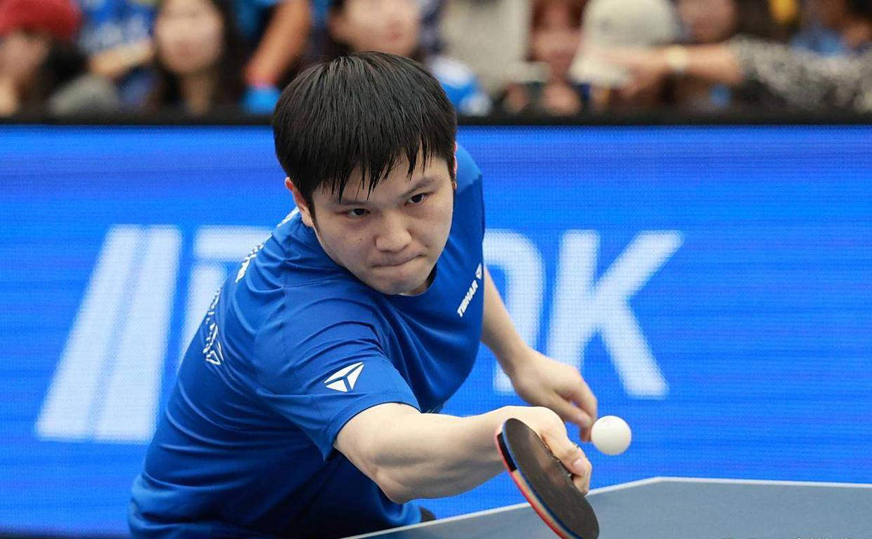 关于波兰乒乓球队翻盘奥地利乒乓球队，樊振东送出助攻的信息