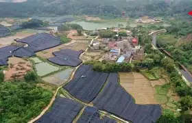 阿塞镇鹿无项,甘乘利铁焰香 阿塞镇鹿无项,甘乘利铁焰香