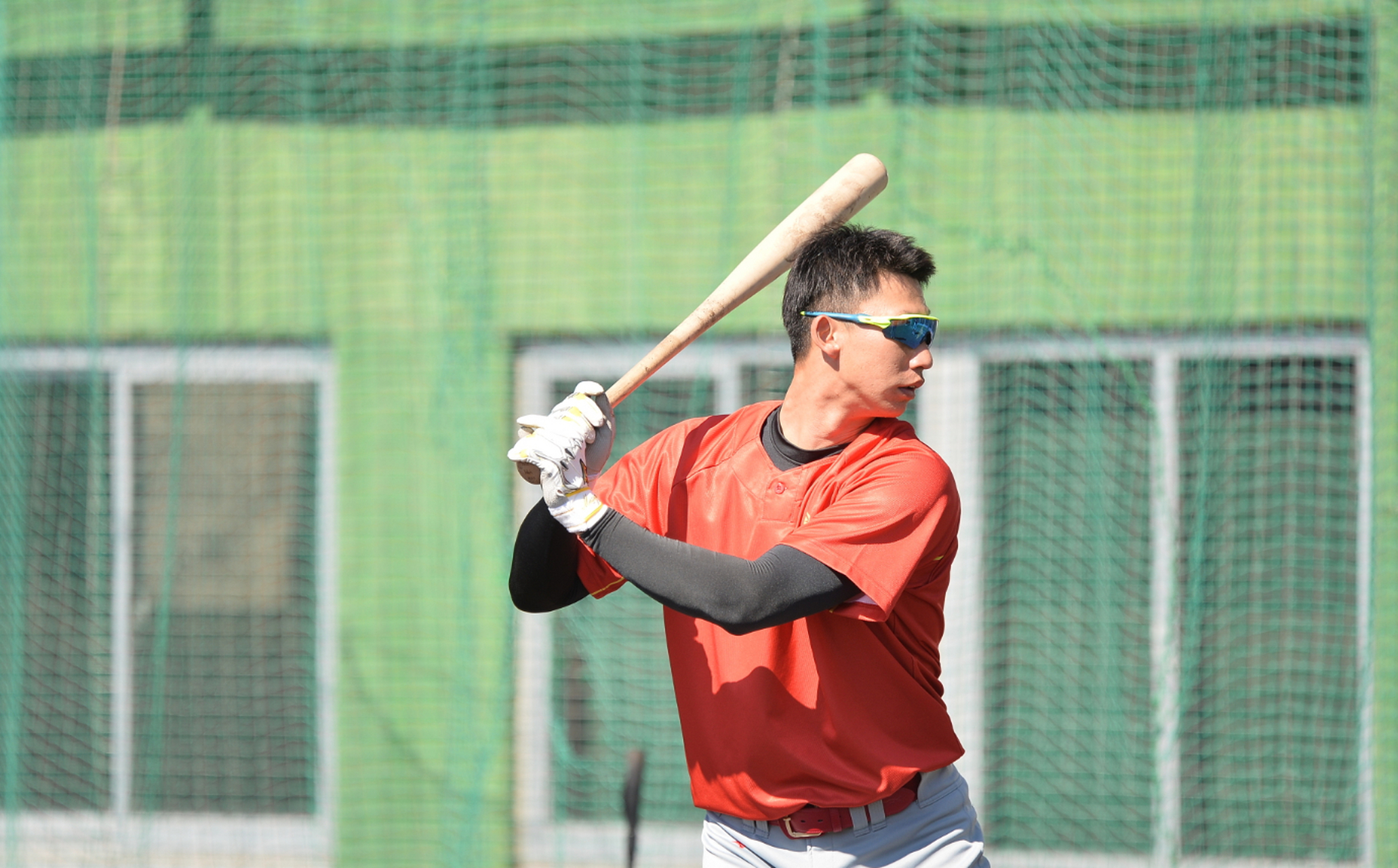 五星荷兰再战联赛，蓄势待发的简单介绍